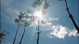 Birdy - Ghost In The Wind (Music Video)