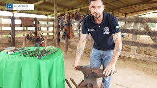 Miniatura do vídeo