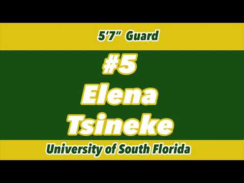 DNelli's Scouting Report | Elena Tsineke