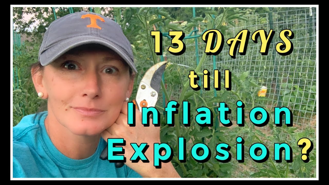 13 DAYS Until an Inflation Explosion?