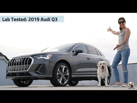 2019 Audi Q3: Andie the Lab Review! Video