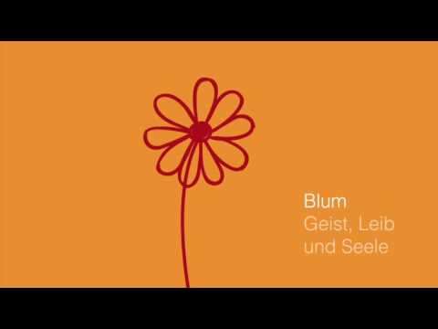 Blum - Ein Neuer Start
