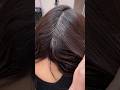 Grey Hair Fix With GuyTang Shadow Ash 6
