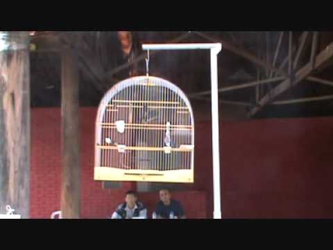 Torneio de Ourinhos - 05/09/2010 - 3º Clássico com Repetição - Estaca 1 - Triunfo