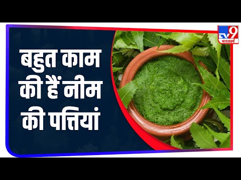 Skin से लेकर किडनी स्टोन तक इन परेशानियों की बेजोड़ दवा है Neem की पत्तियां, जानें फायदे !