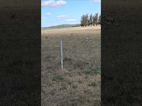 UNA FAMILIA COMPLETA LOS TALAS .MALDONADO#lugares #Uruguay #viajeros #vistashermosas