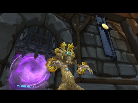 World Of Warcraft  Wotlk Classic ToGC Raid