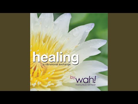 Vl River of Miracles