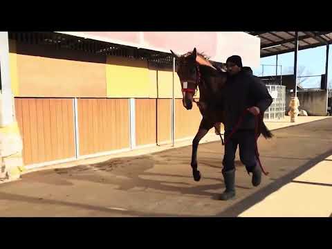 {{itemName}}_video_thumbnail