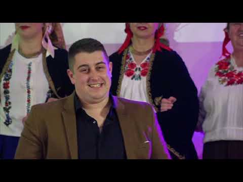 DAMJAN PACERIZOVIC - DOI BATRNJI (COVER) (TV KLADOVO) 2020