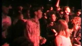 The Bats - The Law Of Things (live)