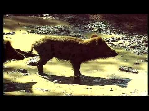 Audiovisual Parque Natural "Lago de Sanabria" (Parte 1/3)