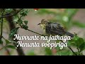 Nuvvunte Na Jathaga Female Version Song Dream Lyrics I Manoharudu