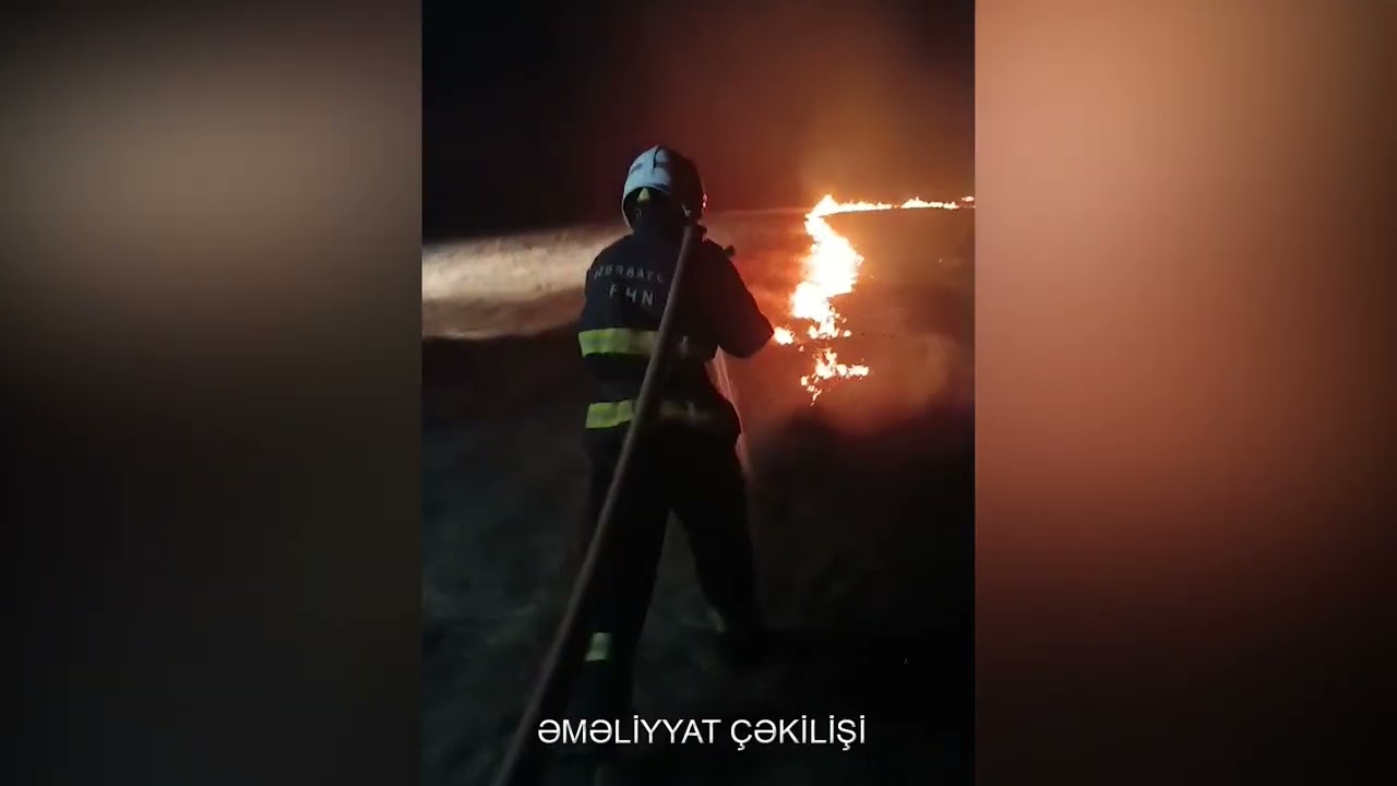 Füzulidə biçilmiş taxıl sahəsində yanğın olub VİDEO