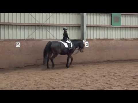 Malu (6) und Bella - Reitabzeichen 7 - Dressur am 07.11.2015