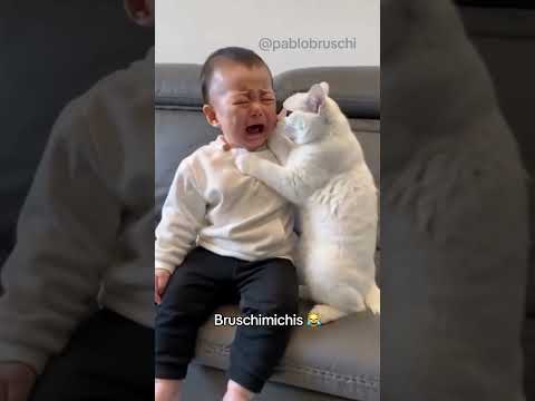 BRUSCHIMICHIS 270 - #shorts