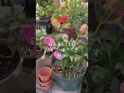 コールドフレームの作り方は？春に向けて準備万端！  庭園