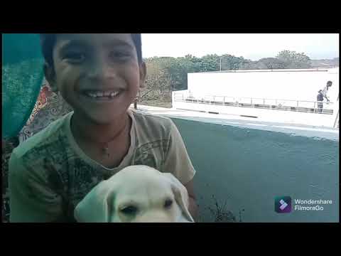 pranathi garden lo smal harvest and clinging pranathi and likithaswari