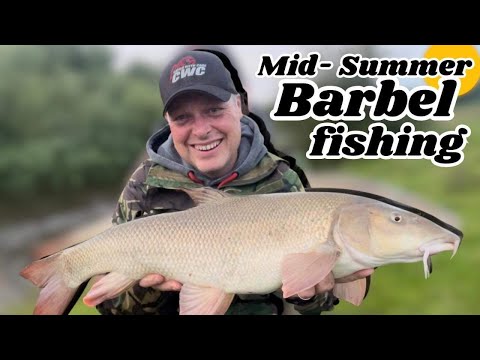 Mid Summer Barbel Fishing