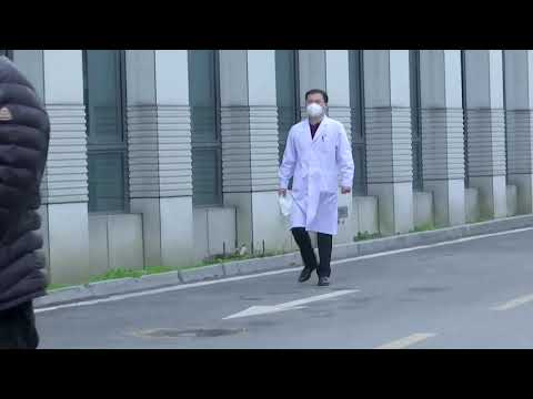調查一切的源頭!世衛組織團隊前往武漢的醫院 (WHO team in Wuhan head for hospital)