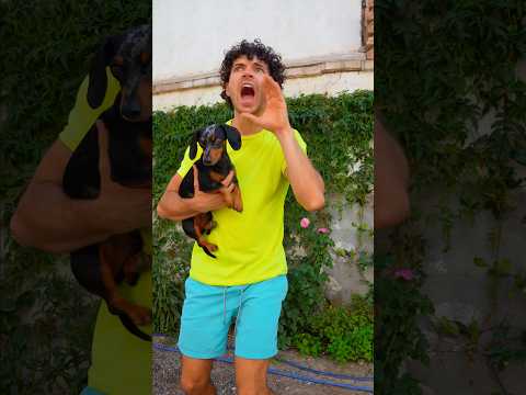 El peluche Perdido 🧸😭😭 #perrosalchicha