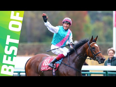 QATAR PRIX DE L'ARC DE TRIOMPHE : LE BEST OF (2009 -2024)