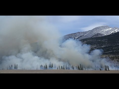 Fireguard Wildfire Tracker Video