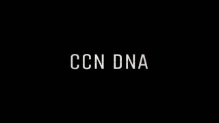 BLACK FRIDAY - CCN DNA Remake/Mix ( Instrumental ) by ApolloonBeats