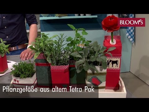 Für Ihren Indoor-Kräutergarten: Dekorative Pflanzgefäße Aus Altem ... Für Ihren Indoor-Kräutergarten: Dekorative Pflanzgefäße Aus Altem ...