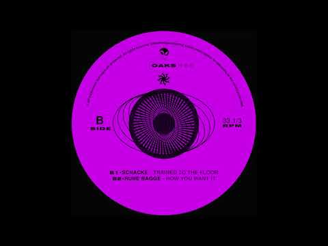 Schacke - Trained To The Floor [KAOS02]