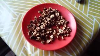 Café de diente de león (Taraxacum)