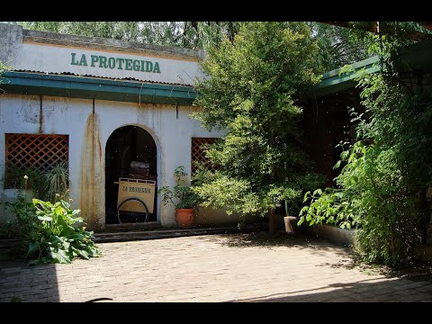 La protegida en Navarro