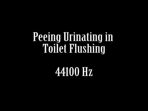 Man Peeing Urinating in Toilet Sound Effect Free HQ High Quality Sound FX