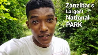Inside Zanzibar's Largest National Park - Know Before You Go