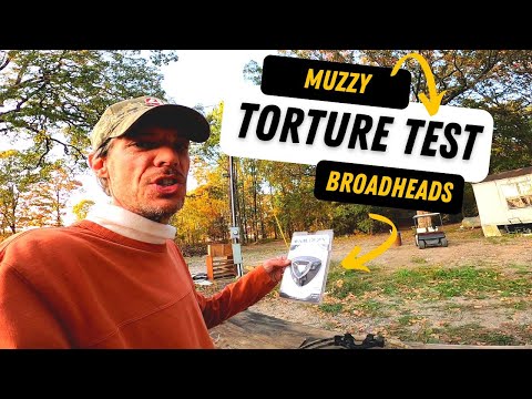 Which Broadhead? Muzzy vs Cheap