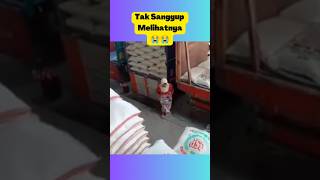 Download lagu Pengorbanan Ibu Sangat Luar Biasa - Ibu Ungu Band #ibu #ungu #unguband #mom #shorts #ibuiwanfals mp3