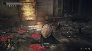 ELDEN RING:DLC#13