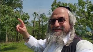 בית המדרש הווירטואלי עמוד מוהר"ן – בעברית – לימוד העמוד היומי ליקו"מ ח"ב כ תורה יב – איה מקום כבודו (הרב מוטה פראנק) - התמונה מוצגת ישירות מתוך אתר האינטרנט יוטיוב. זכויות היוצרים בתמונה שייכות ליוצרה. קישור קרדיט למקור התוכן נמצא בתוך דף הסרטון