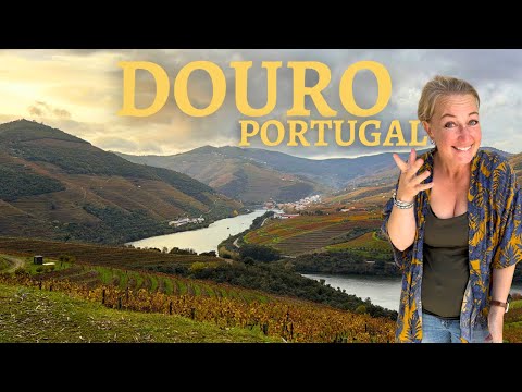 Winter in Portugals OLDEST Winelands. WORTH IT?