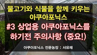 [서유채Farm - 3편] 상업용 아쿠아포닉스를 하기전 주의사항 (aquaponics)