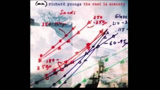 Richard Youngs • My Fall (2016)