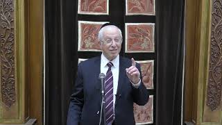 כב׳ הרב מרדכי דוד נויגרשל | עשרה בטבת - שורש כל התהליכים (הרב מרדכי דוד נויגרשל) - התמונה מוצגת ישירות מתוך אתר האינטרנט יוטיוב. זכויות היוצרים בתמונה שייכות ליוצרה. קישור קרדיט למקור התוכן נמצא בתוך דף הסרטון