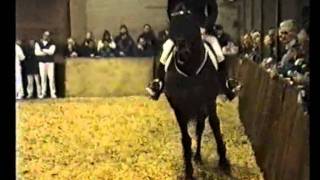 Video von Julio Mariner xx