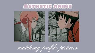 Asthetic anime matching pfp |anime profile|