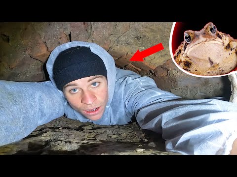 閉所恐怖症トンネルでパニック!クローテンアラーム 🐸