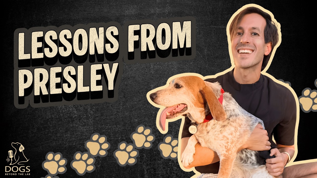Joe Bailey's Lessons from Presley