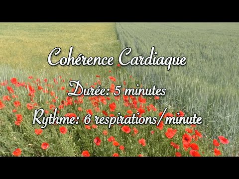 Cohérence cardiaque (cardiac coherence) - coquelicots dans les champs - 6 respirations/minute
