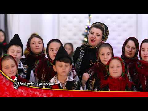 Elena Negru si Grupul Folcloric Bilcuta