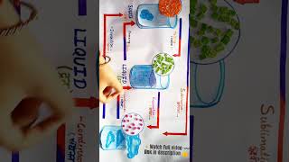 State of Matter Chart Diagram / Science Project #drawing #shorts #viral #project #science #matter