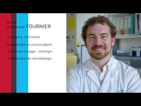 LNS - Surveillance de la grippe (EN)